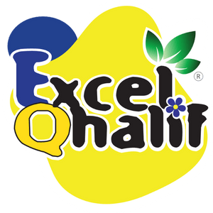 Excel Qhalif Playgroup & Speech Program